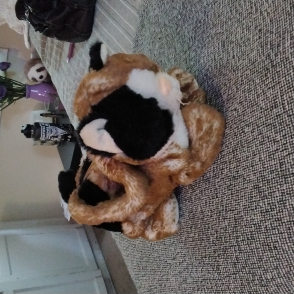 Calico kitten purse - Picture 1 of 7